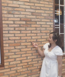 Gạch thẻ cổ (gạch cắt ) kt 200x55x18mm